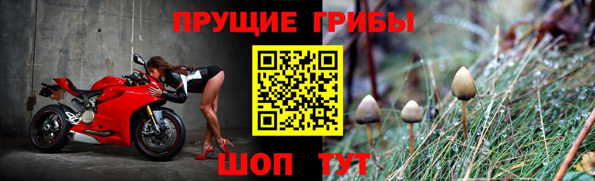 Галлюциногенные грибы Psilocybine cubensis  Псилоцибиновые грибы Cubensis  Таганрог  Вход с VPN 